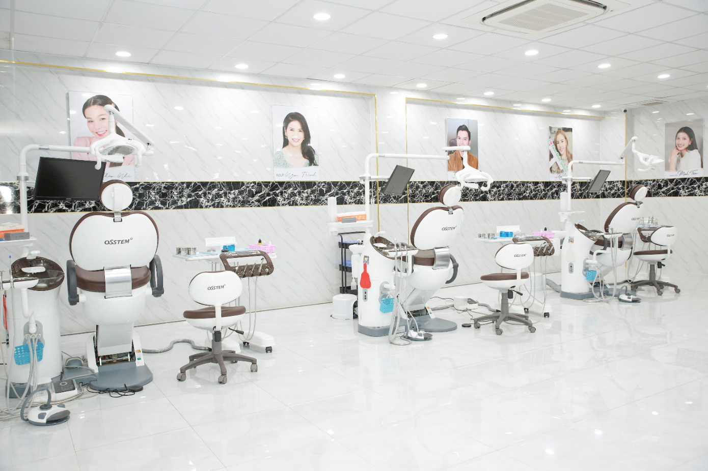 Premium Dental Chair